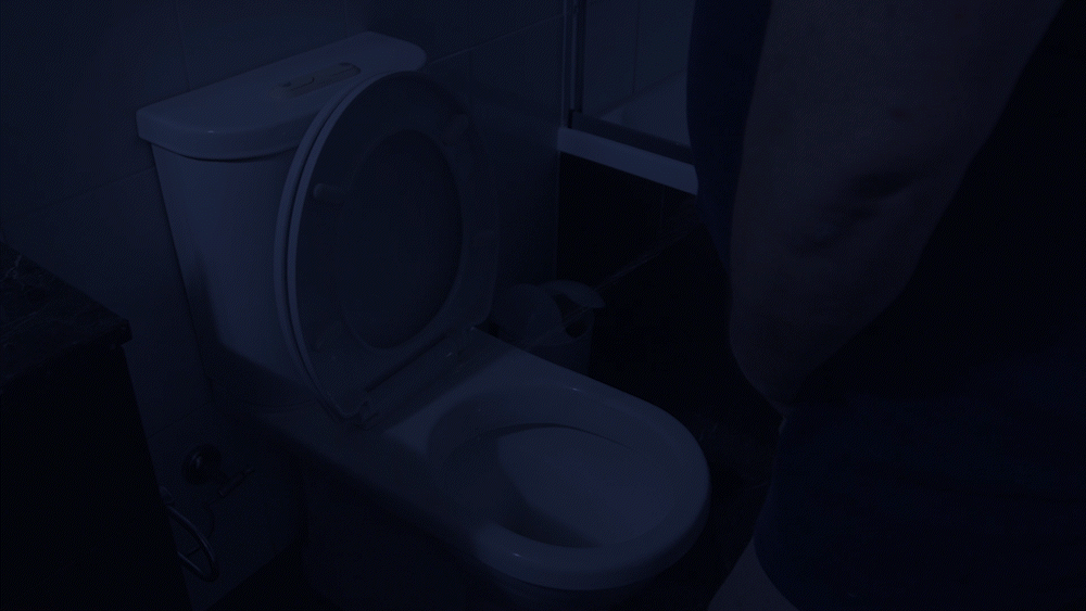 Dont Miss Mate Toilet Light